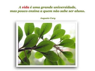 Planeta PowerPoint
temos cerca de Duas mil mensagens em powerpoint.
Para receber, enviar e compartilhar estas e outras mensagens visite:
www.planetapowerpoint.com.br
A vida é uma grande universidade,
mas pouco ensina a quem não sabe ser aluno.
Augusto Cury
 