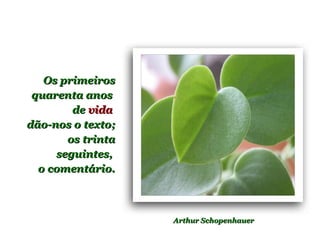 Os primeirosOs primeiros
quarenta anosquarenta anos
dede vidavida
dão-nos o texto;dão-nos o texto;
os trintaos trinta
seguintes,seguintes,
o comentário.o comentário.
Arthur SchopenhauerArthur Schopenhauer
 