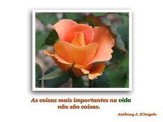 As coisas mais importantes naAs coisas mais importantes na vidavida
não são coisas.não são coisas.
Anthony J. D'AngeloAnthony J. D'Angelo
 