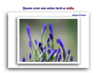 Quem crer em mim terá aQuem crer em mim terá a vidavida..
Jesus CristoJesus Cristo
 