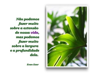 Não podemosNão podemos
fazer muitofazer muito
sobre a extensãosobre a extensão
de nossade nossa vidavida,,
mas podemosmas podemos
fazer muitofazer muito
sobre a largurasobre a largura
e a profundidadee a profundidade
dela.dela.
Evan EsarEvan Esar
 