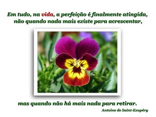 Em tudo, naEm tudo, na vidavida, a perfeição é finalmente atingida,, a perfeição é finalmente atingida,
não quando nada mais existe para acrescentar,não quando nada mais existe para acrescentar,
Antoine de Saint-ExupéryAntoine de Saint-Exupéry
mas quando não há mais nada para retirar.mas quando não há mais nada para retirar.
 