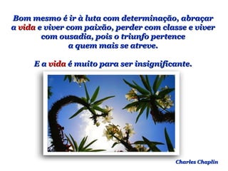 Bom mesmo é ir à luta com determinação, abraçarBom mesmo é ir à luta com determinação, abraçar
aa vidavida e viver com paixão, perder com classe e vivere viver com paixão, perder com classe e viver
com ousadia, pois o triunfo pertencecom ousadia, pois o triunfo pertence
a quem mais se atreve.a quem mais se atreve.
E aE a vidavida é muito para ser insignificante.é muito para ser insignificante.
Charles ChaplinCharles Chaplin
 