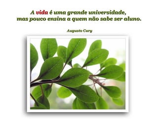 AA vidavida é uma grande universidade,é uma grande universidade,
mas pouco ensina a quem não sabe ser aluno.mas pouco ensina a quem não sabe ser aluno.
Augusto CuryAugusto Cury
 