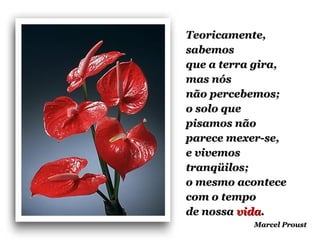 Teoricamente,Teoricamente,
sabemossabemos
que a terra gira,que a terra gira,
mas nósmas nós
não percebemos;não percebemos;
o solo queo solo que
pisamos nãopisamos não
parece mexer-se,parece mexer-se,
e vivemose vivemos
tranqüilos;tranqüilos;
o mesmo aconteceo mesmo acontece
com o tempocom o tempo
de nossade nossa vidavida..
Marcel ProustMarcel Proust
 