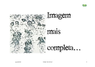 Imagem€
                             mais€
                             completa…
www.joaoleal.net   Formador: João José Leal   9
 