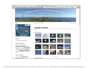 ePorOolio:	
  kollek8ve	
  Materialsammlung	
  im	
  blog	
  -­‐	
  Biologie-­‐Exkursion	
  -­‐	
  hZp://mp.uni-­‐ﬂensburg.de/projekte/helgoland2011/
 