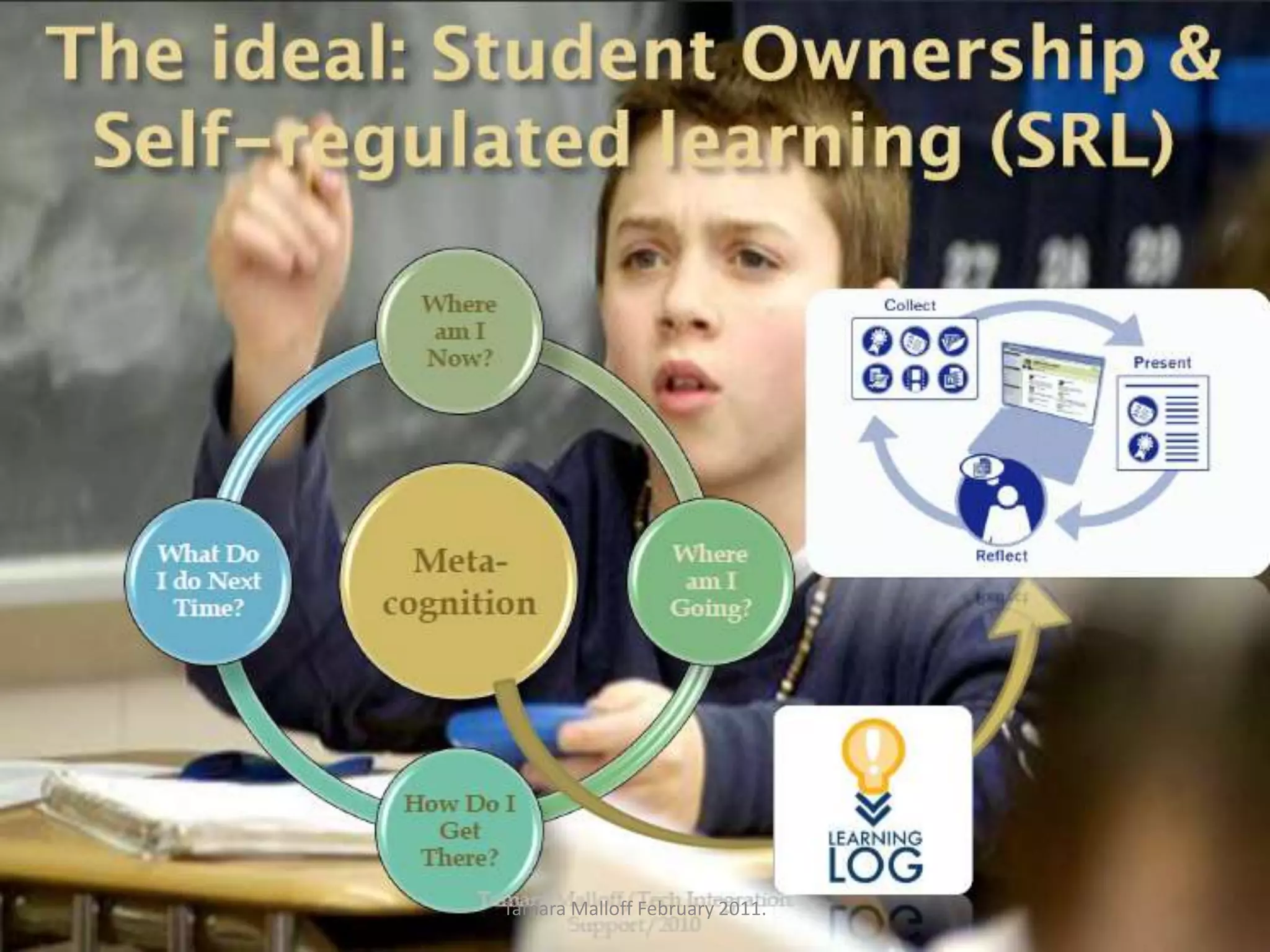 Tamara Malloff February 2011.