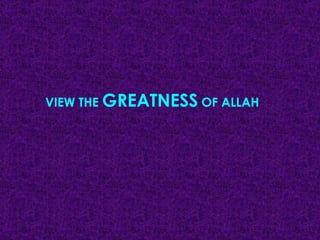 VIEW THE  GREATNESS  OF ALLAH 