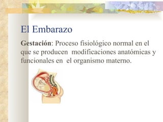 El Embarazo Gestación : Proceso fisiológico normal en el que se producen  modificaciones anatómicas y funcionales en  el organismo materno.  