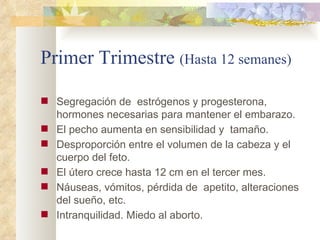 Primer Trimestre  (Hasta 12 semanes) Segregación de  estrógenos y progesterona, hormones necesarias para mantener el embarazo.  El pecho aumenta en sensibilidad y  tamaño.  Desproporción entre el volumen de la cabeza y el cuerpo del feto.  El útero crece hasta 12 cm en el tercer mes.  Náuseas, vómitos, pérdida de  apetito, alteraciones del sueño, etc. Intranquilidad. Miedo al aborto.  