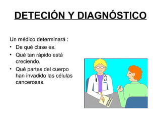 DETECIÓN Y DIAGNÓSTICO Un médico determinará : De qué clase es. Qué tan rápido está creciendo.  Qué partes del cuerpo han invadido las células cancerosas. 