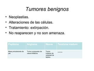 Tumores benignos Neoplastias. Alteraciones de las células. Tratamiento: extirpación. No reaparecen y no son amenaza. Papiloma Angioma Nevus Teratoma maduro Masa protuberante de pel. Tumor compuesto de vasos linfáticos. Tumor cutáneo de variedad de tejidos. ------ 