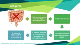 Patogenia
3
Lesión mucosa /
Anormalidad
linfática
Falla en membrana
intestinal para
retener proteínas
Hipoproteinemia*
HIPOALBUMINEMIA
(pérdida >10% hasta
60%)
 Presión oncótica
 Transporte de
hormonas, AG,
iones, bilirrubina.
 Síntesis
albúmina 24%
INSUFICIENTE
Braampskamp M, Dolman KM, Tabber MM. Protein – losing enteropathy in children. Eur J Pediatra 2010; 169: 1179 – 85.
 
