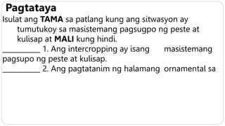 Pagtataya
Isulat ang TAMA sa patlang kung ang sitwasyon ay
tumutukoy sa masistemang pagsugpo ng peste at
kulisap at MALI kung hindi.
___________ 1. Ang intercropping ay isang masistemang
pagsupo ng peste at kulisap.
___________ 2. Ang pagtatanim ng halamang ornamental sa
 