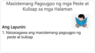 Masistemang Pagsugpo ng mga Peste at
Kulisap sa mga Halaman
Ang Layunin:
1. Naisasagawa ang masistemang pagsugpo ng
peste at kulisap
 