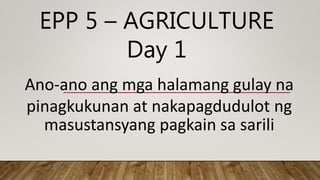 EPP 5 – AGRICULTURE
Day 1
Ano-ano ang mga halamang gulay na
pinagkukunan at nakapagdudulot ng
masustansyang pagkain sa sarili
 