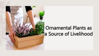 Ornamental Plants as
a Source of Livelihood
 