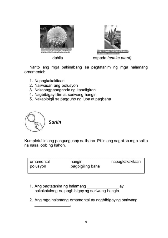 Summative Test Matatag Grade 4 Quarter 1 Module 2 English 10 summative-test-matatag-grade-4-quarter-1-module-2-english-10