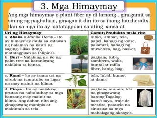 3. Mga Himaymay
Ang mga himaymay o plant fiber ay di lamang . ginagamit sa
sining ng paghahabi, ginagamit din ito sa ibang handicrafts.
Ilan sa mga ito ay matatagpuan sa ating bansa at
pinagkakakitaan ng ilang mga Pilipino.
 
