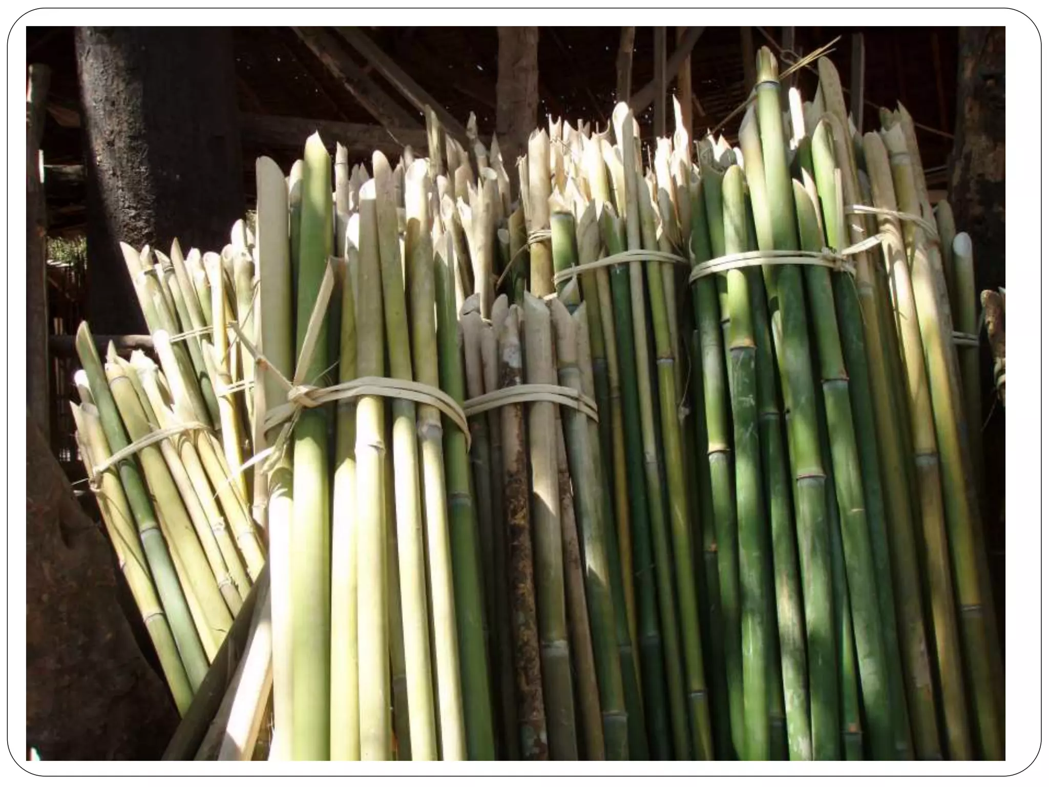 EPP 5 (Industrial Arts) PPT