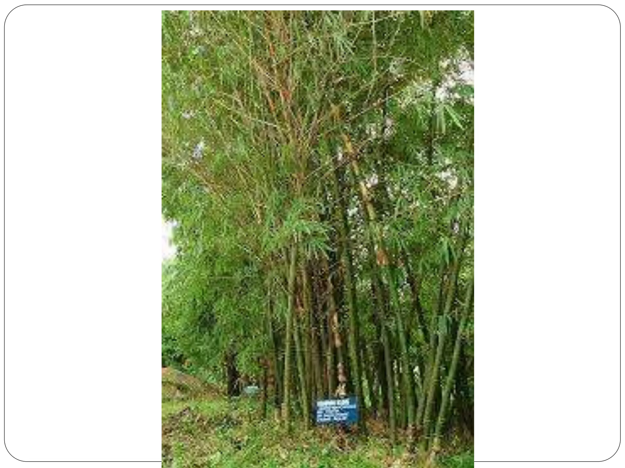 EPP 5 (Industrial Arts) PPT