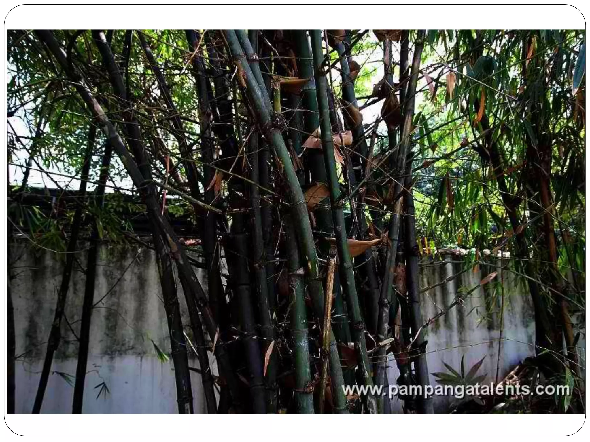 EPP 5 (Industrial Arts) PPT