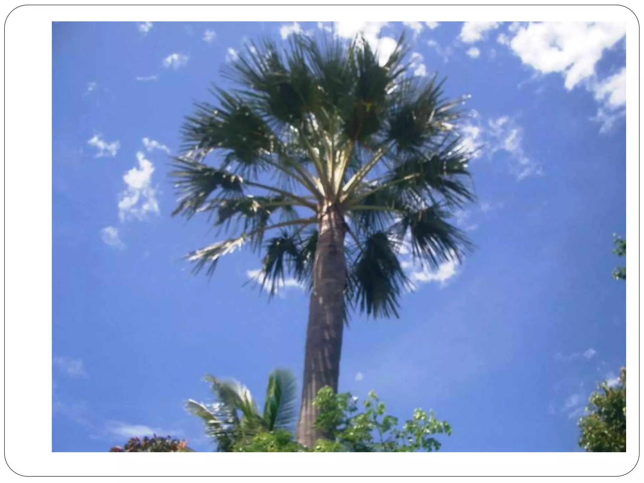 EPP 5 (Industrial Arts) PPT