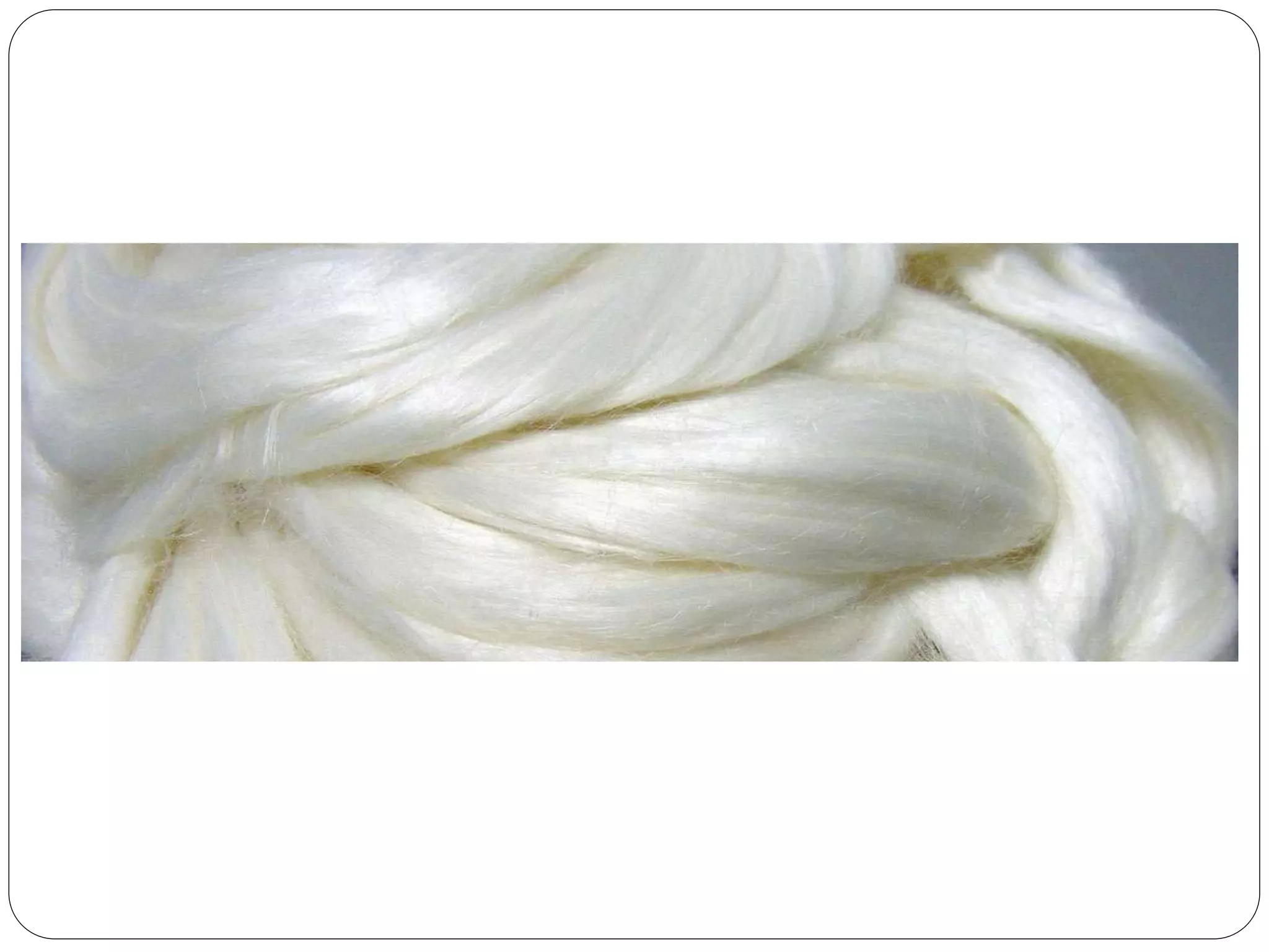 EPP 5 (Industrial Arts) PPT