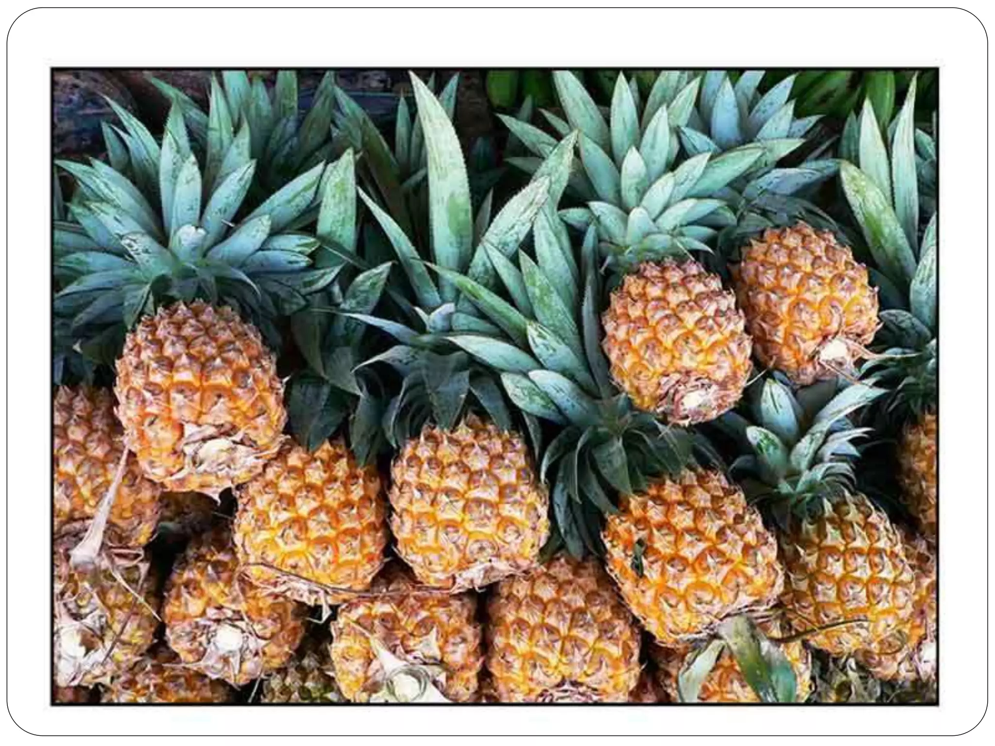 EPP 5 (Industrial Arts) PPT