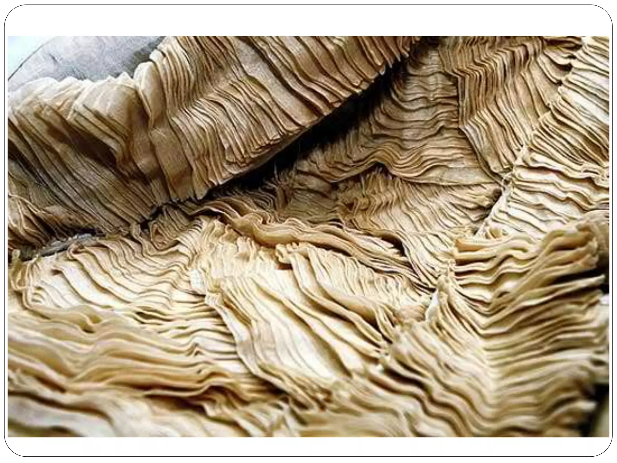 EPP 5 (Industrial Arts) PPT