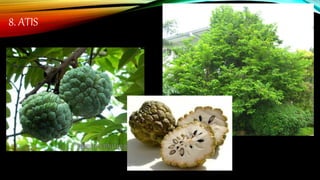 8. ATIS
 