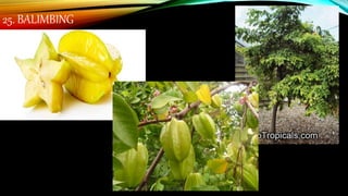 25. BALIMBING
 