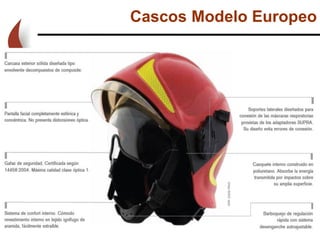 Cascos Modelo Europeo
 
