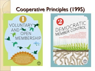 Cooperative Principles (1995)Cooperative Principles (1995)
 