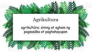 agrikultúra: sining at agham ng
pagsasáka at paghahayupan
Agrikultura
 