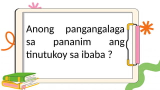 Anong pangangalaga
sa pananim ang
tinutukoy sa ibaba ?
 