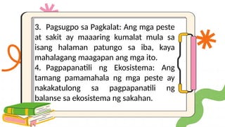 3. Pagsugpo sa Pagkalat: Ang mga peste
at sakit ay maaaring kumalat mula sa
isang halaman patungo sa iba, kaya
mahalagang maagapan ang mga ito.
4. Pagpapanatili ng Ekosistema: Ang
tamang pamamahala ng mga peste ay
nakakatulong sa pagpapanatili ng
balanse sa ekosistema ng sakahan.
 
