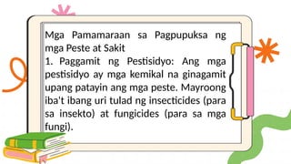 Mga Pamamaraan sa Pagpupuksa ng
mga Peste at Sakit
1. Paggamit ng Pestisidyo: Ang mga
pestisidyo ay mga kemikal na ginagamit
upang patayin ang mga peste. Mayroong
iba't ibang uri tulad ng insecticides (para
sa insekto) at fungicides (para sa mga
fungi).
 