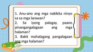 1. Anu-ano ang mga nakikita ninyo
sa sa mga larawan?
2. Sa iyong palagay, paano
pinangangalagaan ang mga
halaman?
3. Bakit mahalagang pangalagaan
ang mga halaman?
 