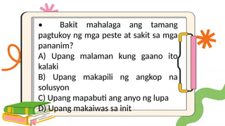 • Bakit mahalaga ang tamang
pagtukoy ng mga peste at sakit sa mga
pananim?
A) Upang malaman kung gaano ito
kalaki
B) Upang makapili ng angkop na
solusyon
C) Upang mapabuti ang anyo ng lupa
D) Upang makaiwas sa init
 