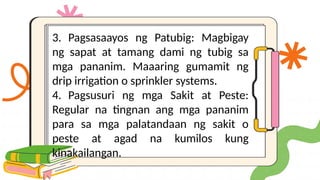 3. Pagsasaayos ng Patubig: Magbigay
ng sapat at tamang dami ng tubig sa
mga pananim. Maaaring gumamit ng
drip irrigation o sprinkler systems.
4. Pagsusuri ng mga Sakit at Peste:
Regular na tingnan ang mga pananim
para sa mga palatandaan ng sakit o
peste at agad na kumilos kung
kinakailangan.
 
