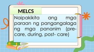 MELCS
Naipakikita ang mga
paraan ng pangangalaga
ng mga pananim (pre-
care, during, post- care)
 
