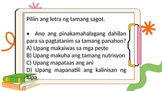 Piliin ang letra ng tamang sagot.
• Ano ang pinakamahalagang dahilan
para sa pagtatanim sa tamang panahon?
A) Upang makaiwas sa mga peste
B) Upang makuha ang tamang nutrisyon
C) Upang mapataas ang ani
D) Upang mapanatili ang kalinisan ng
lupa
 