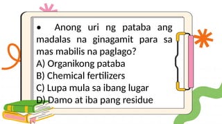 • Anong uri ng pataba ang
madalas na ginagamit para sa
mas mabilis na paglago?
A) Organikong pataba
B) Chemical fertilizers
C) Lupa mula sa ibang lugar
D) Damo at iba pang residue
 