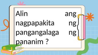 Alin ang
nagpapakita ng
pangangalaga ng
pananim ?
 