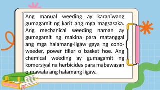 Ang manual weeding ay karaniwang
gumagamit ng karit ang mga magsasaka.
Ang mechanical weeding naman ay
gumagamit ng makina para matanggal
ang mga halamang-ligaw gaya ng cono-
weeder, power tiller o basket hoe. Ang
chemical weeding ay gumagamit ng
komersiyal na herbicides para mabawasan
o mawala ang halamang ligaw.
 