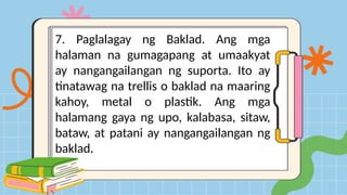 7. Paglalagay ng Baklad. Ang mga
halaman na gumagapang at umaakyat
ay nangangailangan ng suporta. Ito ay
tinatawag na trellis o baklad na maaring
kahoy, metal o plastik. Ang mga
halamang gaya ng upo, kalabasa, sitaw,
bataw, at patani ay nangangailangan ng
baklad.
 