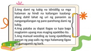 3.Ang dami ng tubig na idinidilig sa mga
halaman ay hindi na kailangan isaalang-
alang dahil lahat ng uri ng pananim ay
nangangailangan ng pare-parehong dami ng
tubig.
4.Ang pataba ay dapat ilagay sa lupa bago
magtanim upang mas maging epektibo ito.
5.Ang manual weeding ay isang epektibong
paraan ng pag-aalis ng mga halamang-ligaw
na gumagamit ng karit.
 