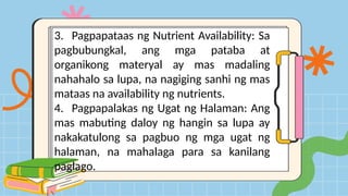 3. Pagpapataas ng Nutrient Availability: Sa
pagbubungkal, ang mga pataba at
organikong materyal ay mas madaling
nahahalo sa lupa, na nagiging sanhi ng mas
mataas na availability ng nutrients.
4. Pagpapalakas ng Ugat ng Halaman: Ang
mas mabuting daloy ng hangin sa lupa ay
nakakatulong sa pagbuo ng mga ugat ng
halaman, na mahalaga para sa kanilang
paglago.
 